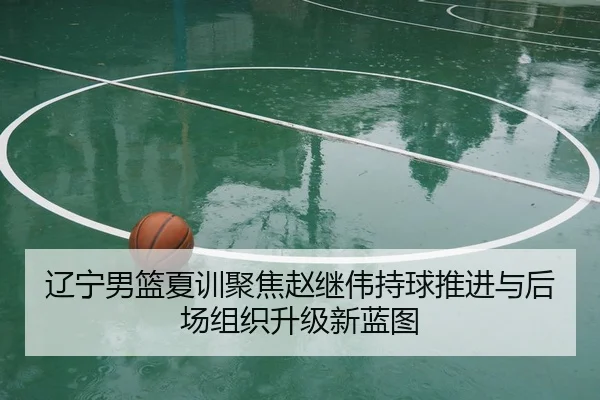 辽宁男篮夏训聚焦赵继伟持球推进与后场组织升级新蓝图